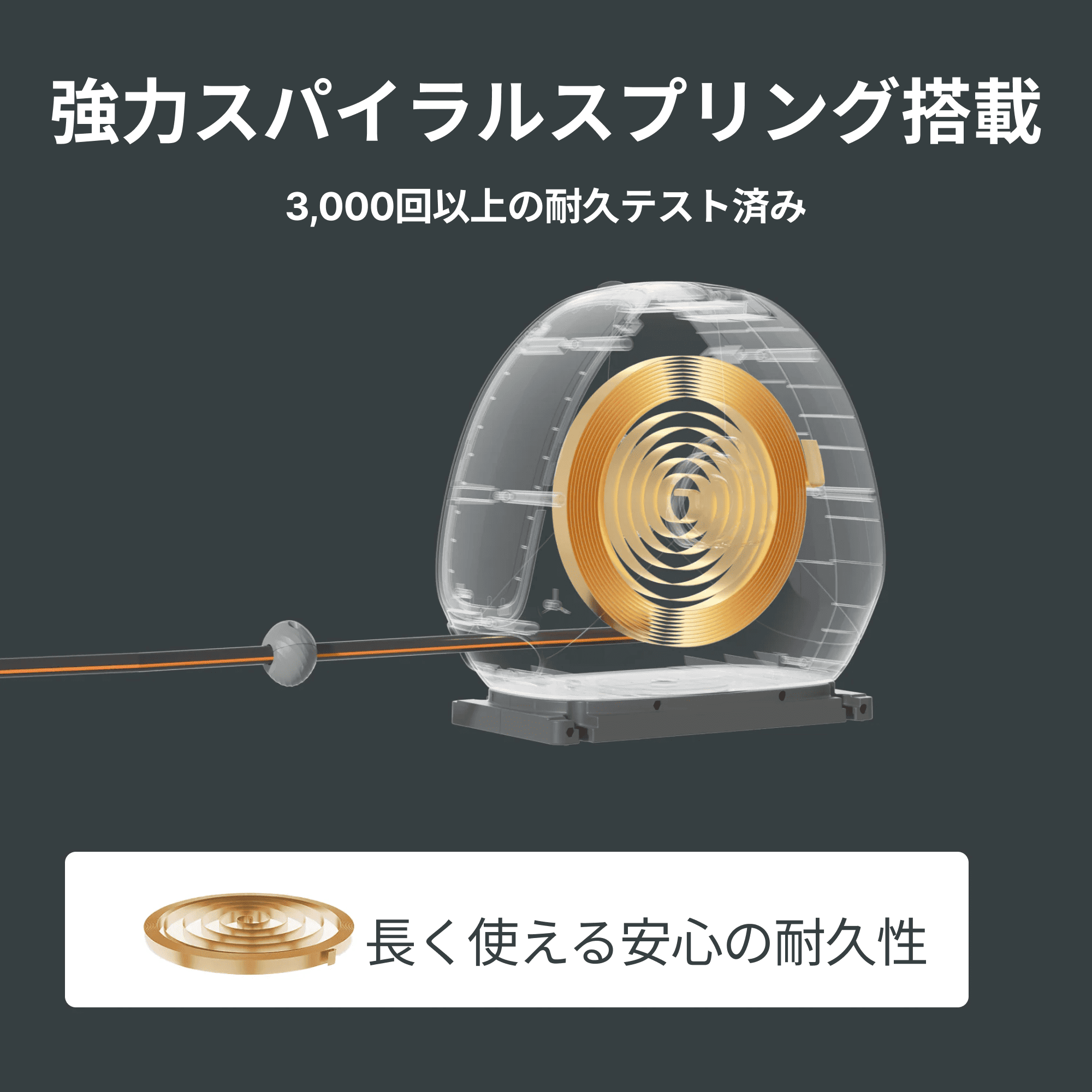 特長